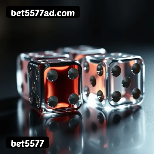 Suporte 24 horas bet5577