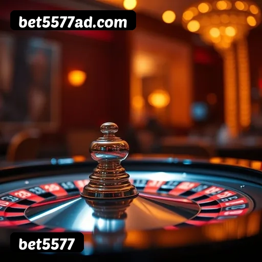 Níveis do programa VIP da bet5577